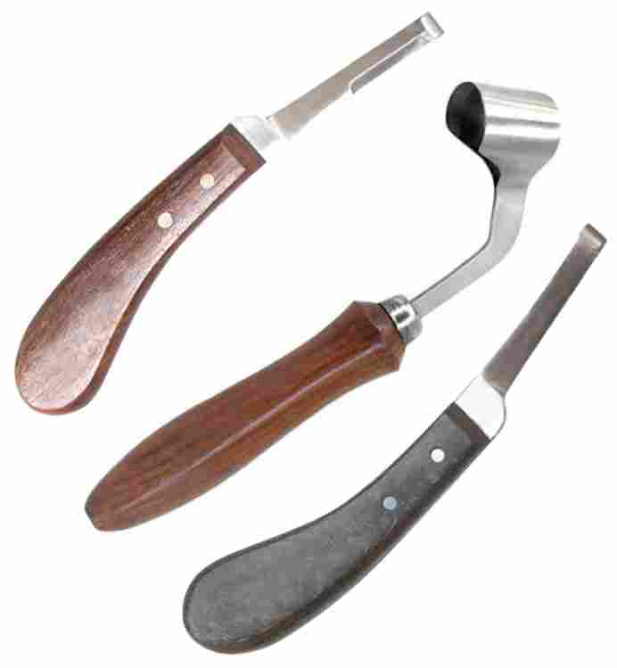 Libran Veterinary Instruments